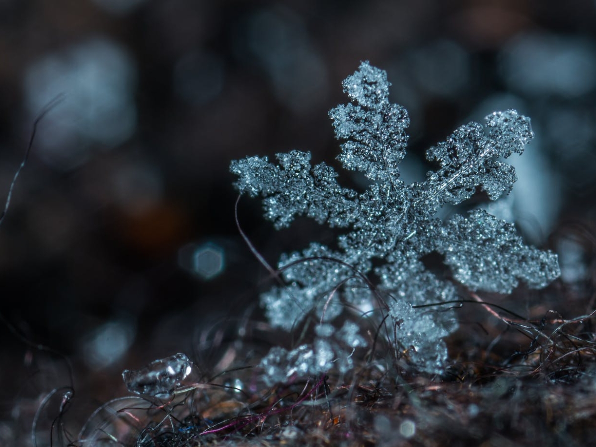 Wintertime Wonders: the stunning science of snowflakes